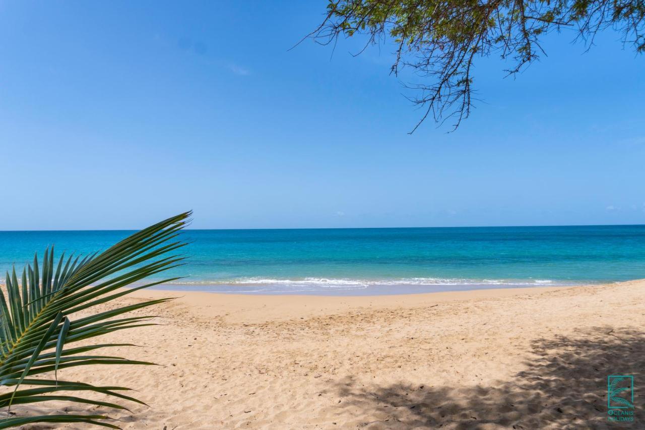 Апартаменты Magnifique Et Spacieux T2 Proche De La Plage - La Kiss House Деше Экстерьер фото